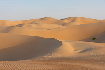 Arabische Sandwüste