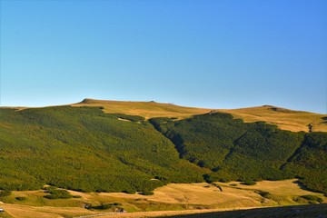 summer landscape of the Carpathian mountains