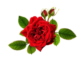 Red rose flowers in a floral arrangement