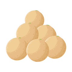 melons fresh fruit in white background