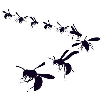  isolated, silhouette of a wasp, bees fly on a white background