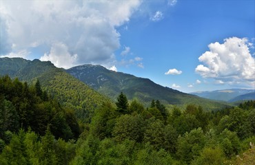 summer landscape of the Carpathian mountains