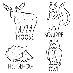 Collection of forest animals. Hand drawn vector icon illustrations design in scandinavian style. Best for nursery, childish textile.