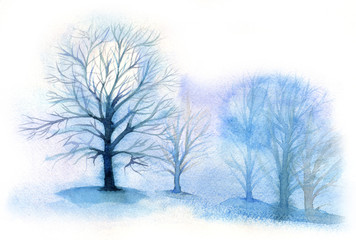 Fototapeta na wymiar foggy winter forest, against a dimly luminous moon or sun