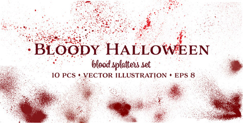 Blood drops and splatters collection, isolated on white background. Halloween bloody background. Vector illustration EPS 8. 