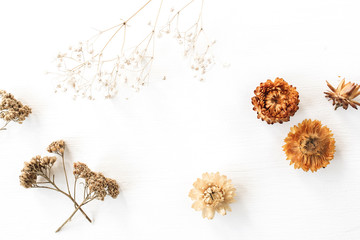Dry floral branch and buds on white background. Flat lay, top view minimal neutral flower...