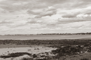 Greenan Bay Low Tide With Lichens and Seaweed over to the Town of Ayr in the Far Distance