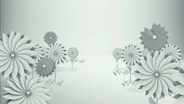 uncolored flower animation (floral) rising on white background (studio backdrop)
