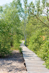 Holzpfad im Naturreservat Soos im Egerbecken in Tschechien