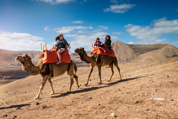 family walk on camels in the desert at sunset