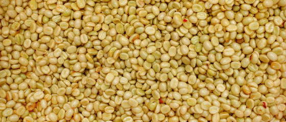 Coffee beans,In the ferment and wash method of wet processing