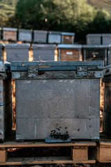 Bees on honeycomb in the nature.