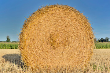 close on a  haybale in a field shooting from the  front under blue sky