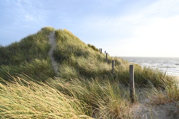 Dünenlandschaft an der Nordsee