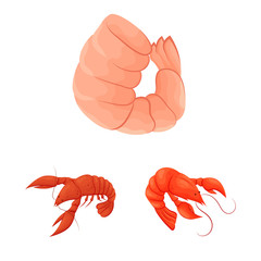 Isolated object of shrimp and crab logo. Collection of shrimp and sea vector icon for stock.