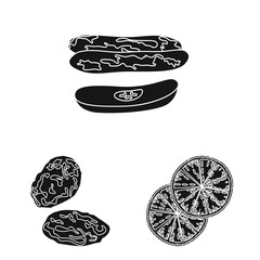 Vector illustration of vitamin and nature sign. Collection of vitamin and dried stock symbol for web.