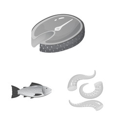 Vector design of seafood and healthy logo. Set of seafood and ocean stock vector illustration.