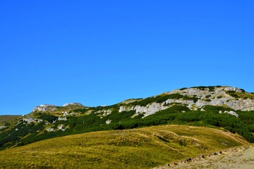 Fototapeta na wymiar alpine pasture on the Bucegi mountains