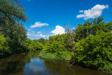 Fototapeta na wymiar Bzura river at sunny day near Sochaczew, Poland