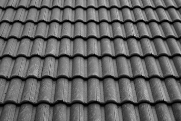 Black and white roof texture