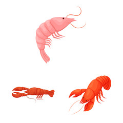 Isolated object of shrimp and crab icon. Set of shrimp and sea stock vector illustration.