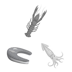 Vector illustration of seafood and healthy icon. Collection of seafood and ocean vector icon for stock.