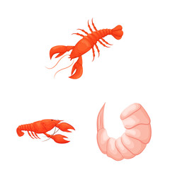 Vector design of shrimp and crab logo. Set of shrimp and sea stock vector illustration.