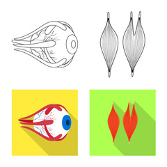 Isolated object of biology and scientific icon. Collection of biology and laboratory stock vector illustration.