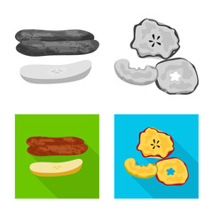 Vector design of food and raw symbol. Collection of food and nature stock vector illustration.