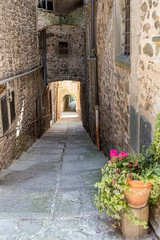 Fototapeta na wymiar Pontremoli, historic city in Lunigiana, Tuscany