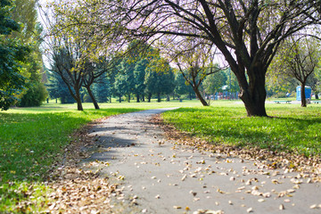 Obraz premium Photo of Footpath in park