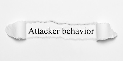Attacker behavior 