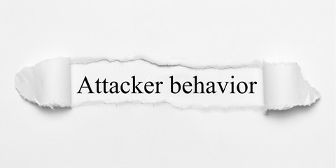 Obraz premium Attacker behavior 