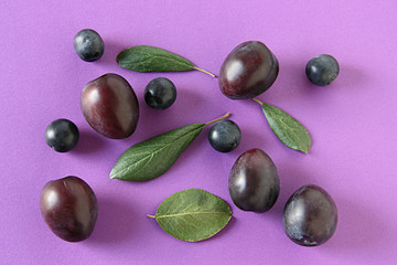 Ripe plums with green leaves on a purple background 