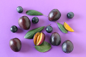 Ripe plums with green leaves on a purple background 