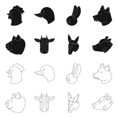 Vector illustration of agriculture and breeding logo. Set of agriculture and organic stock symbol for web.