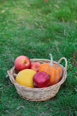 Fresh vegetables in a basket on a green field