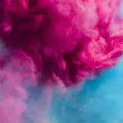 Obraz premium Explosion of pink and blue holi color