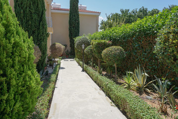 landscape path in garden