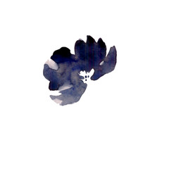 Watercolor minimalistic scandinavian style of buds indigo flowers. Hand drawn isolated on a white background.