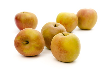 Roter Boskoop