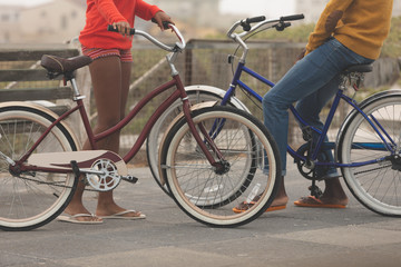 Couple standing while holding bicycle at promenade