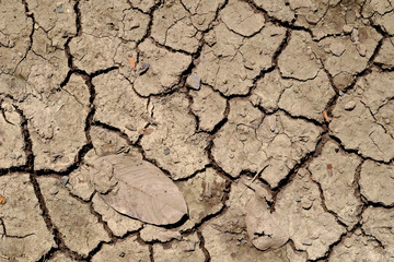 crack on drought ground texture