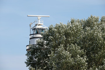 Leuchtturm hinter einem Baum