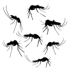 Silhouettes of mosquitoes.Illustration of a mosquito silhouette on a white background