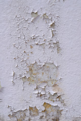 crack of dry color white wall texture