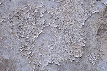 crack of dry color white wall texture