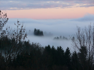 Herbstnebel am fr&uuml;hen Morgen.
