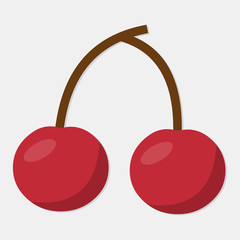 fresh cherry fruit isolated for healthy food concept vector illustration