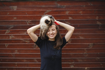 Happy girl is holding a Siamese cat. Gray background.